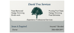 David Tree Services